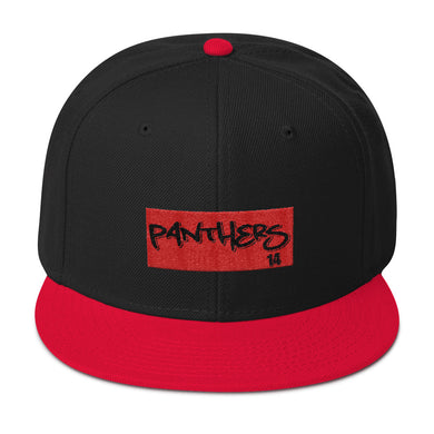 Panthers Snapback Hat