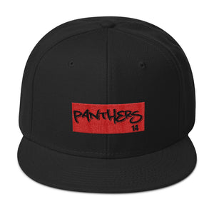 Panthers Snapback Hat